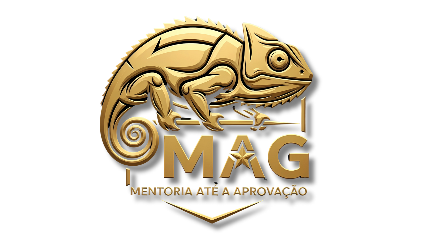 Mentoria MAG